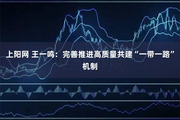 上阳网 王一鸣：完善推进高质量共建“一带一路”机制